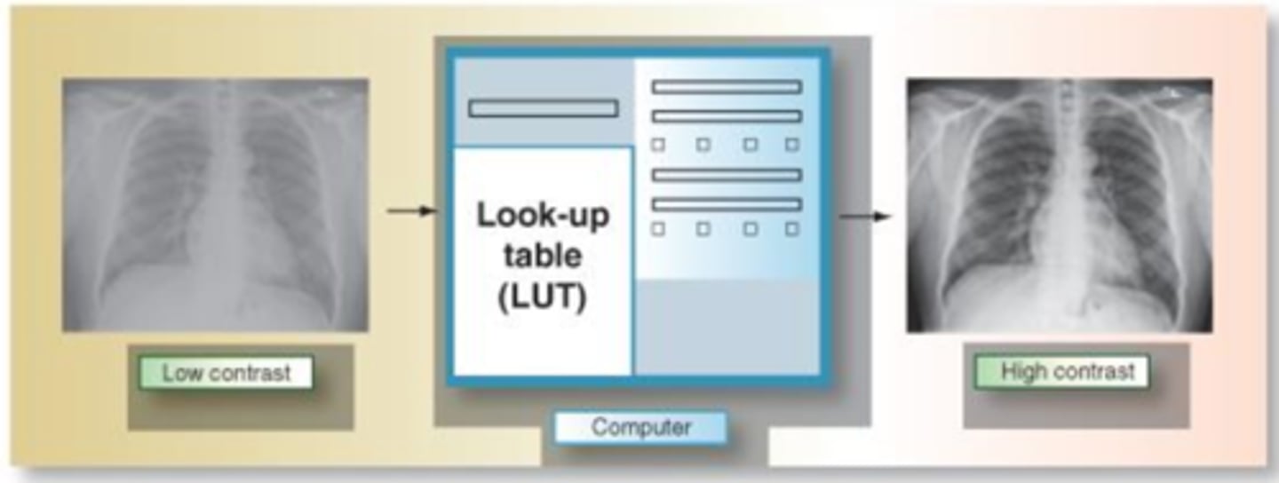 <p>Series of mathematical equations that are used for postprocessing in radiography</p><p>Used as a reference to evaluate raw image data and make corrections to it</p>