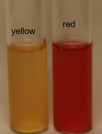 <p>What is the name of this test?</p>
