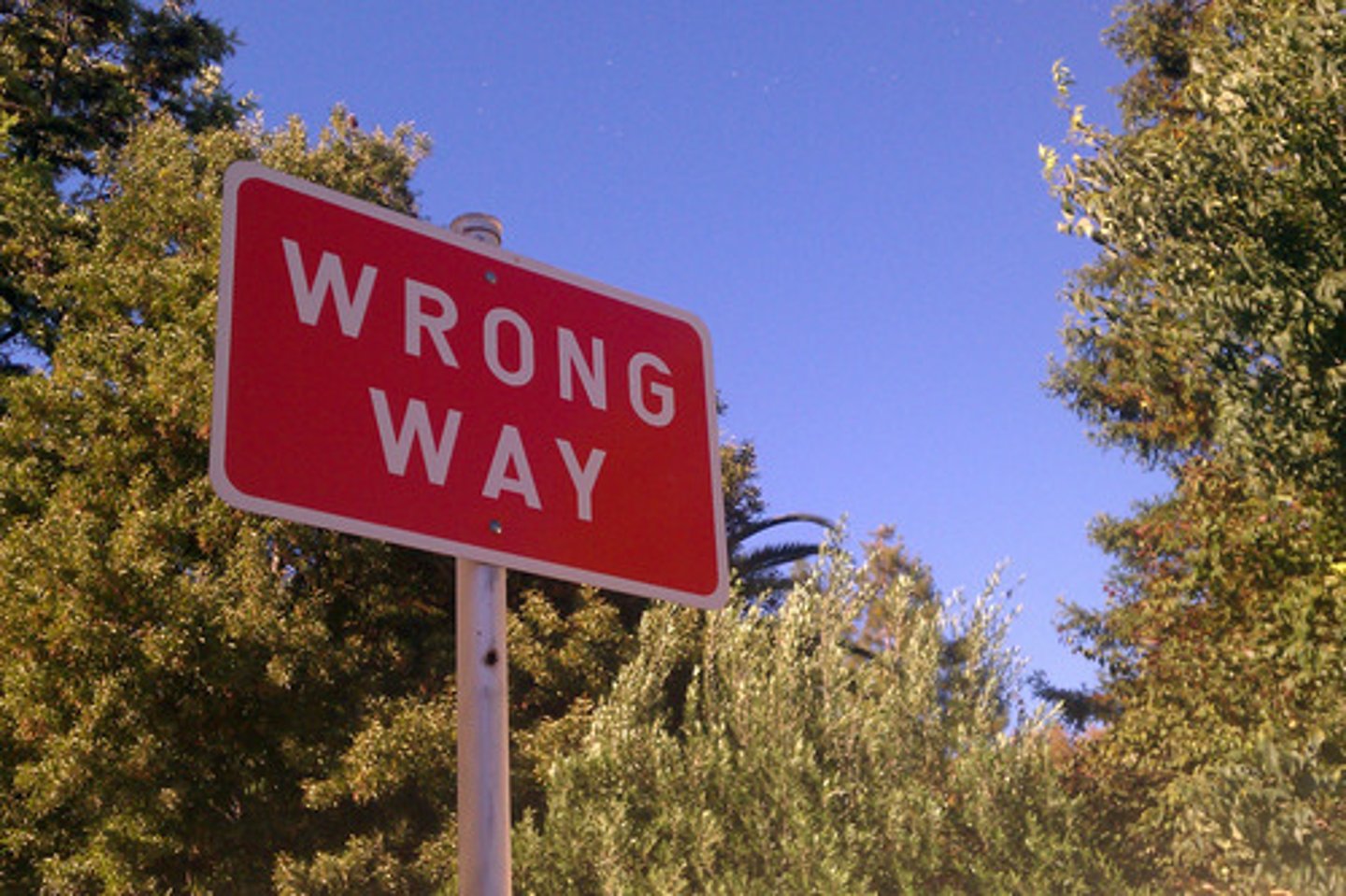 <p>you that you are traveling in the opposite direc t ion from the other cars in your lane. You are in danger of causing a head on collision. You must leave the roadway and turn around as soon as possible.</p>