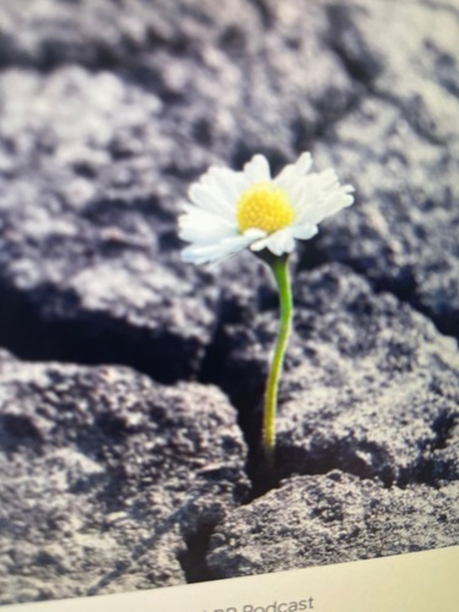 <p>retrouver espoir</p>