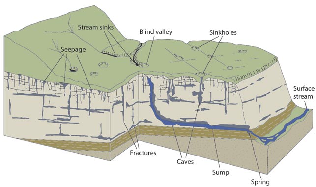<p>Formed by <strong>dissolution of limestone</strong>, leading to <strong>sinkholes, caves, and underground rivers</strong>.</p>