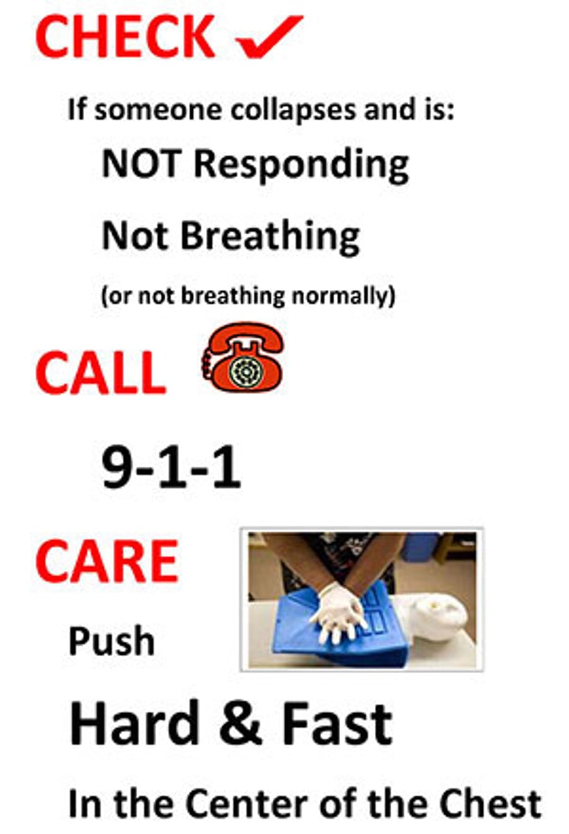 <p>Make sure scene is safe. Put on PPE</p><p>Tap the victim's shoulder while asking "Are you okay?"</p><p>Call 911 - get AED - judge might say AED not available. Check for breathing - tell judge</p><p>Check for carotid pulse - no more than 10 seconds</p><p>Begin CPR if judge says no pulse.</p>