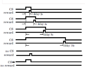 <p><span style="background-color: transparent;"><strong><span>Kashi and Schultz (2008)</span></strong><span> </span></span></p><p>what kind of conditioning is this?</p><p>Why did the authors do this task?</p>