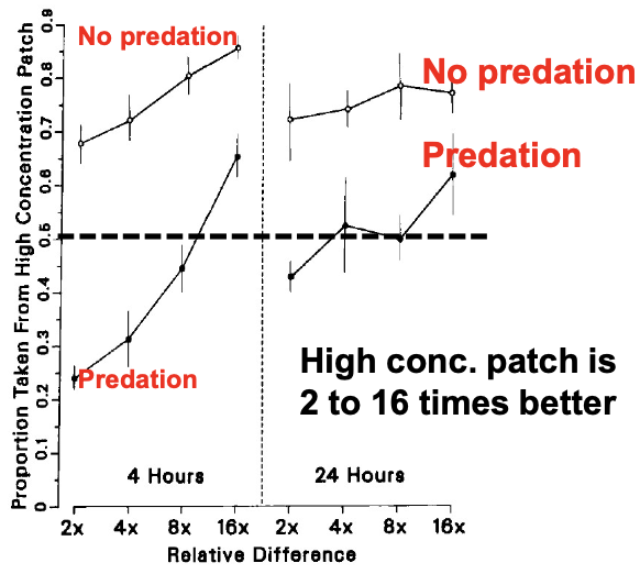 <p>-Ants could choose between two patches containing liquid ant diet of different concentrations. The high concentration patch was either safe or had a predator.</p><p>-Ants preferred the safer, less rewarding patch as long as:</p><ul><li><p>It wasn’t much worse</p></li><li><p>The predator remained active</p></li></ul><p></p>