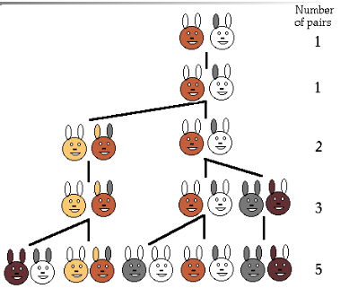 <ul><li><p>The original problem that Fibonacci investigated in 1202</p></li><li><p>How fast rabbits could breed in ideal circumstances</p></li></ul><p></p>