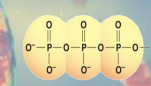 <p>what is this</p>