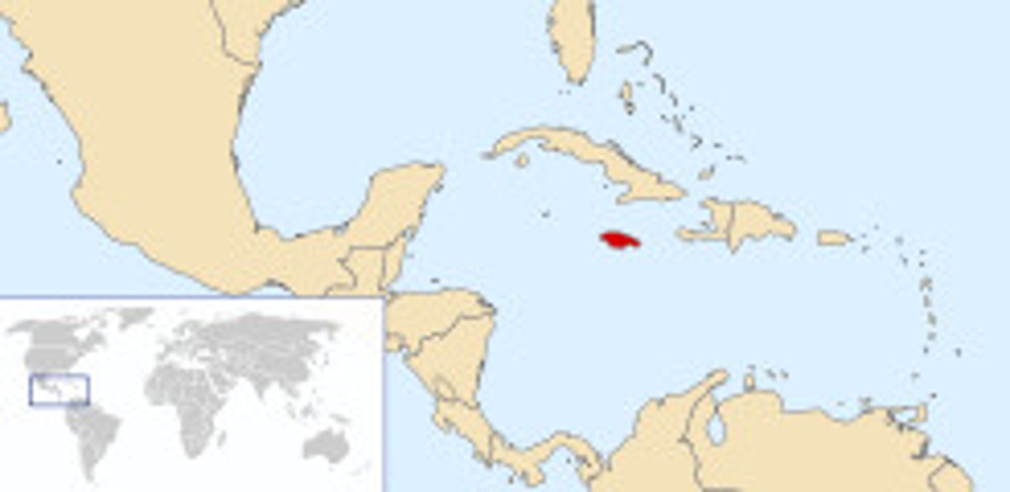 <p>Kingston</p>