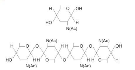 <p>Chitin is a polysaccharide. The chitin monomer is a β-glucose molecule with one OH group replaced by an NHCOCH3 group. NHCOCH3 can be represented by N(Ac).</p><p>The figure below shows the monomer that forms chitin and the chitin polymer.</p><p>Chitin has a similar structure to cellulose. Use the figure above to describe three ways the structure of chitin is similar to the structure of cellulose.(3)</p>