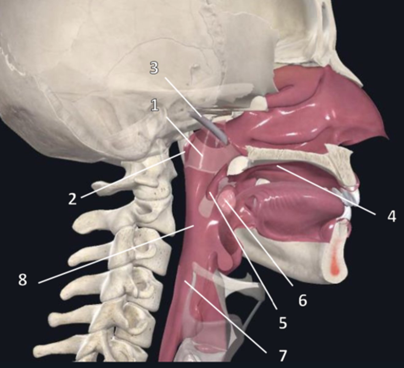 <p>5</p>