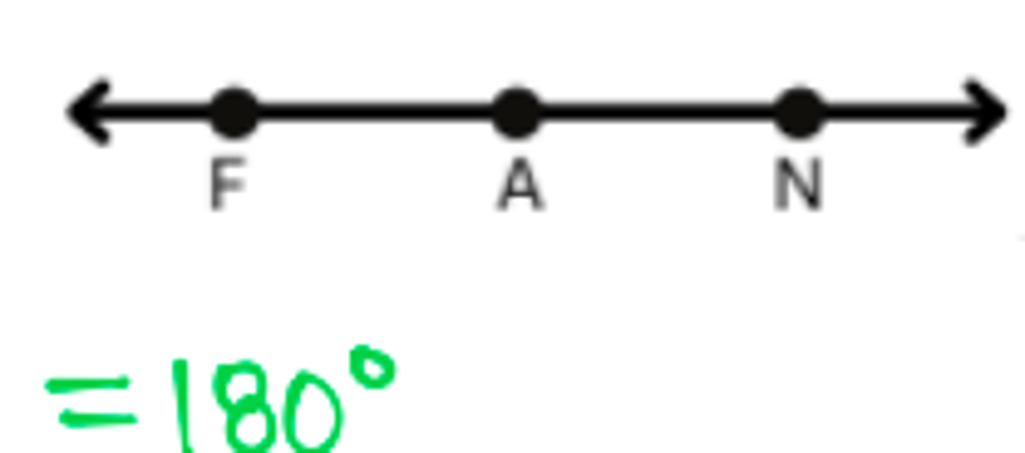 <p>an angle that measures 180 degrees</p>