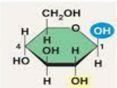 <p>Is this the alpha or beta glucose molecule?</p>