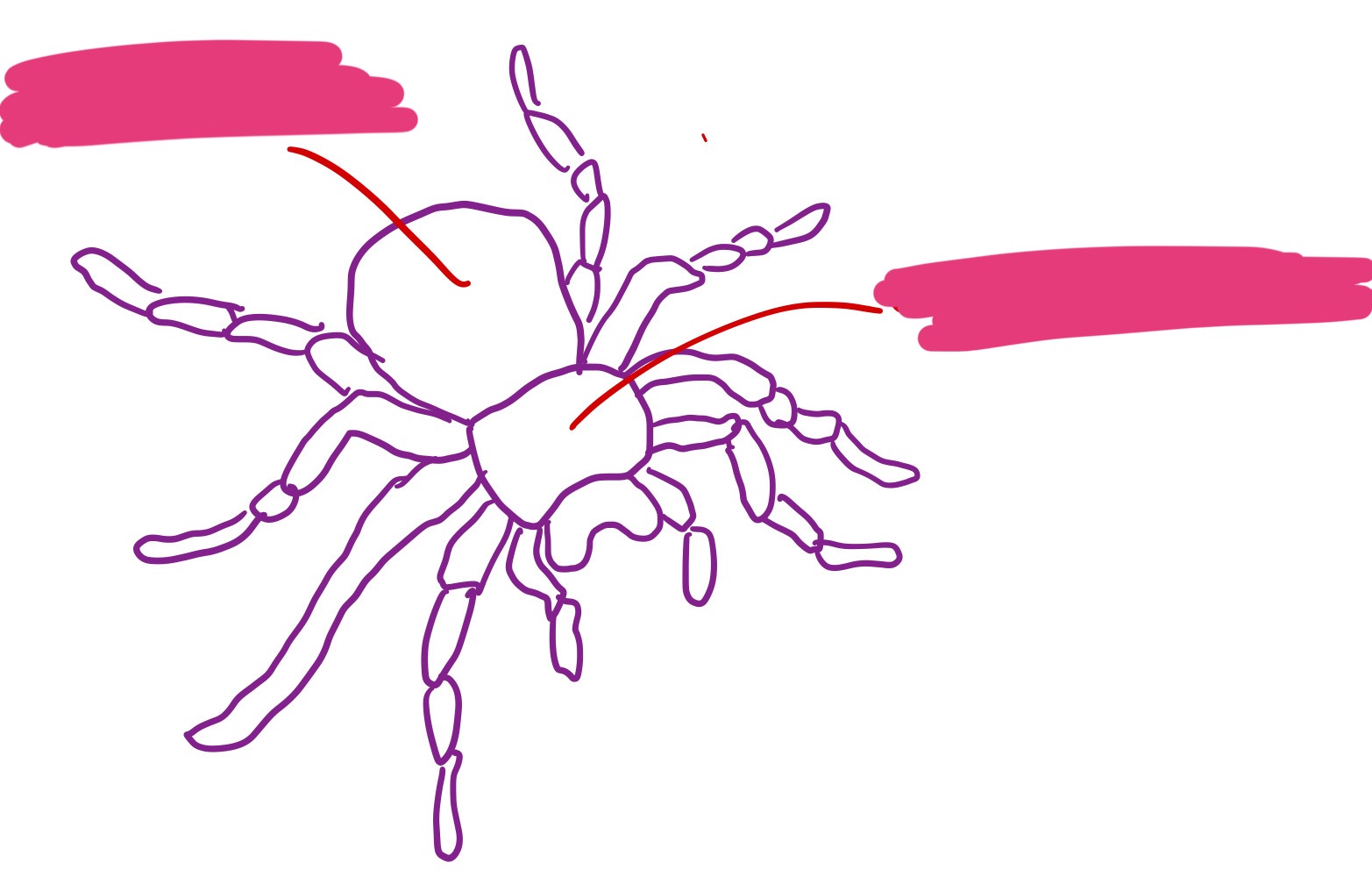 <p>Label + Identify (Grouping(s), Phylum, Subphylum)</p>