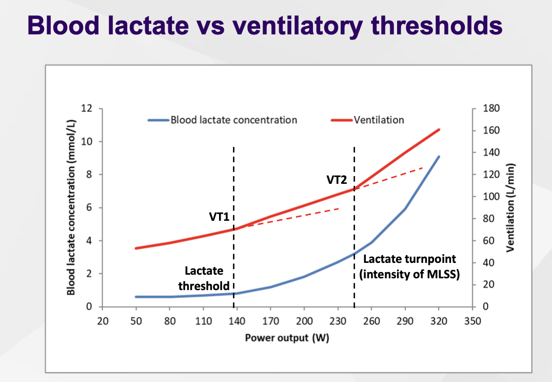 <p>The respiratory compensation point occurs at a similar intensity as the lactate turnpoint</p>