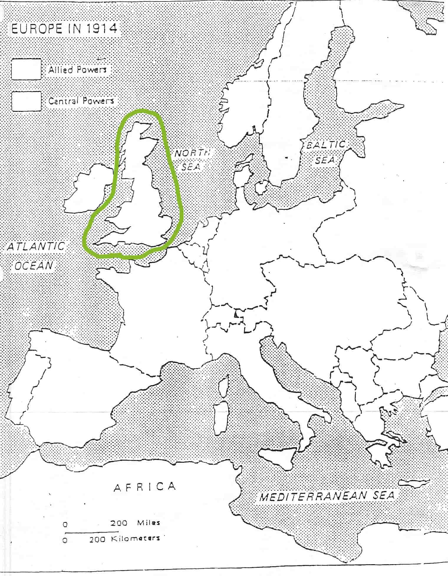 term image