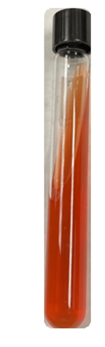 <p>pH indicator: phenol red</p>