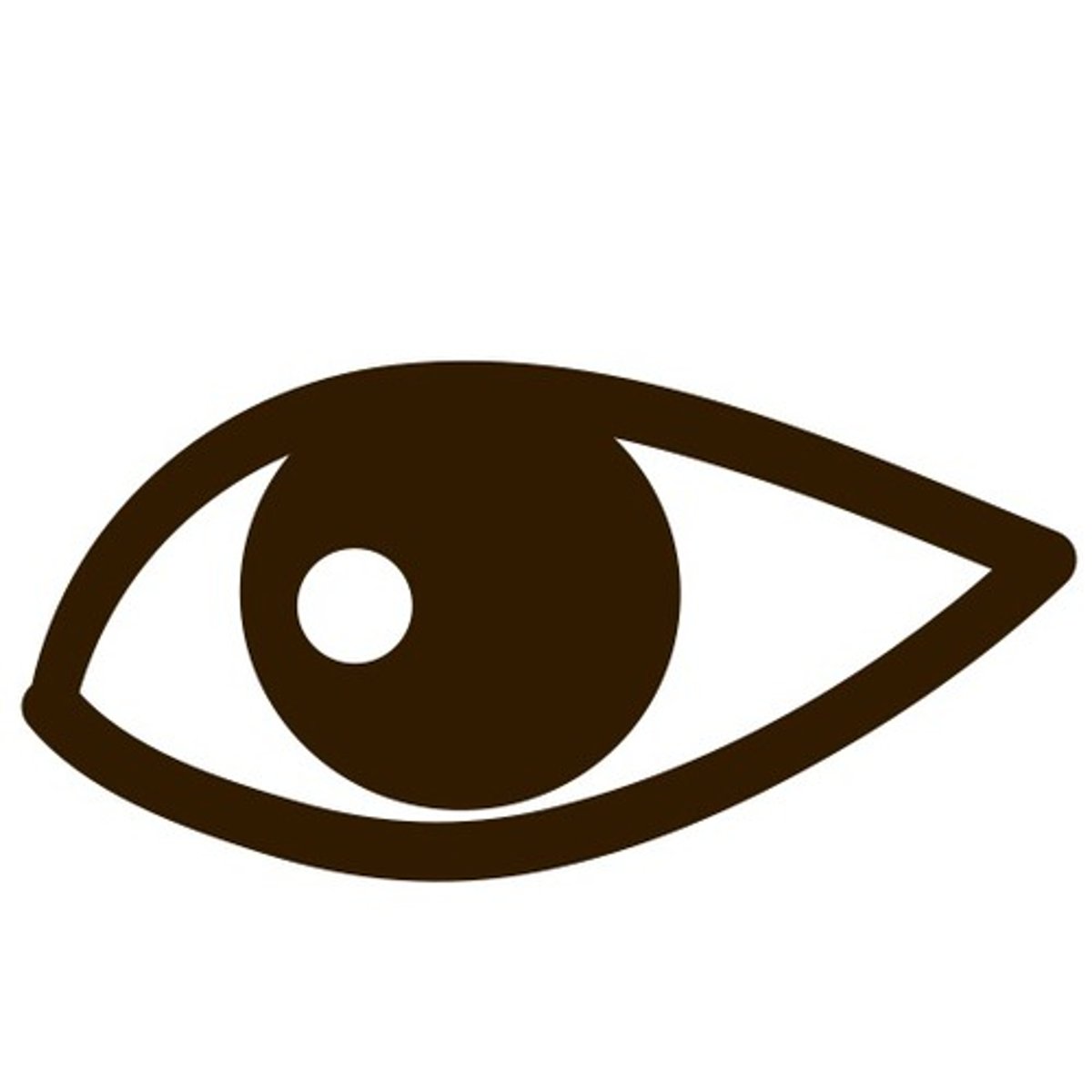 <p>/yǎn jing/</p><p>mắt</p>