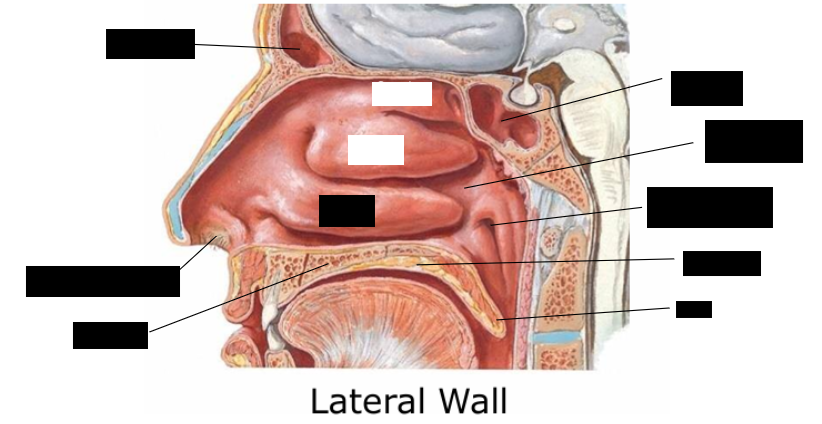 <p>Name the different parts</p>