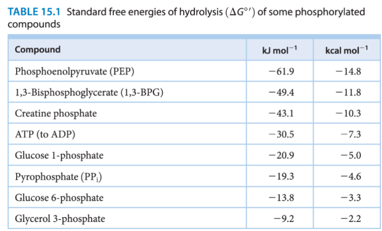 <p>ATP falls in the middle of the compounds listed in Table 15.1. Why is this advantageous for energy coupling?</p>