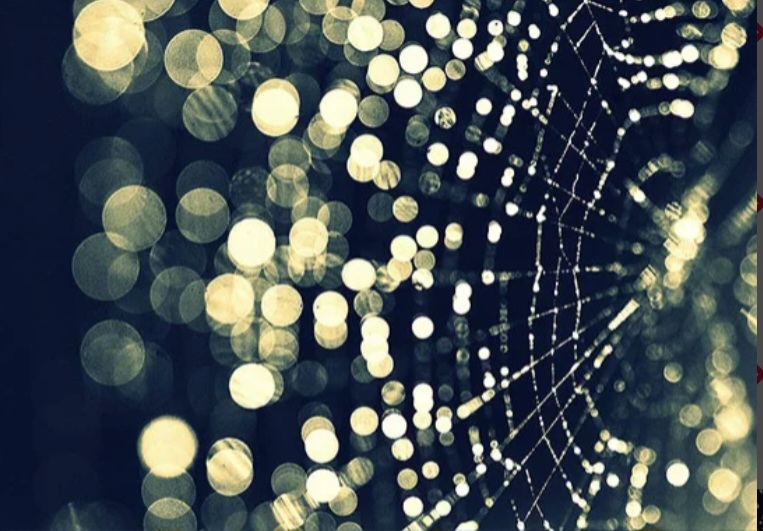 <p>What is Bokeh?</p>