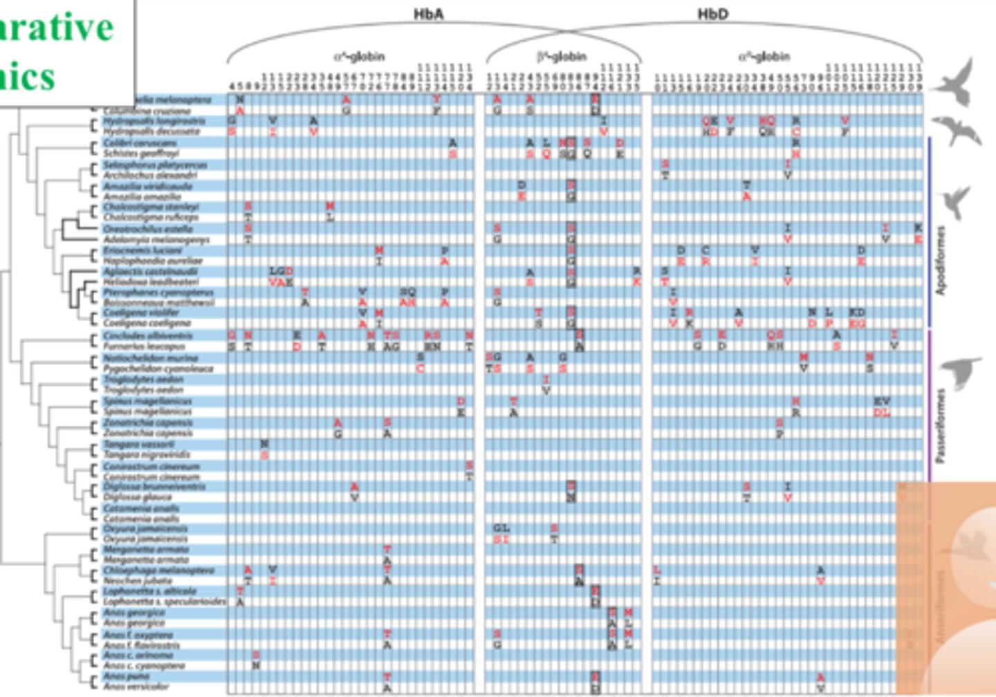 <p>what are red aa vs black aa?</p><p>blank box?</p>