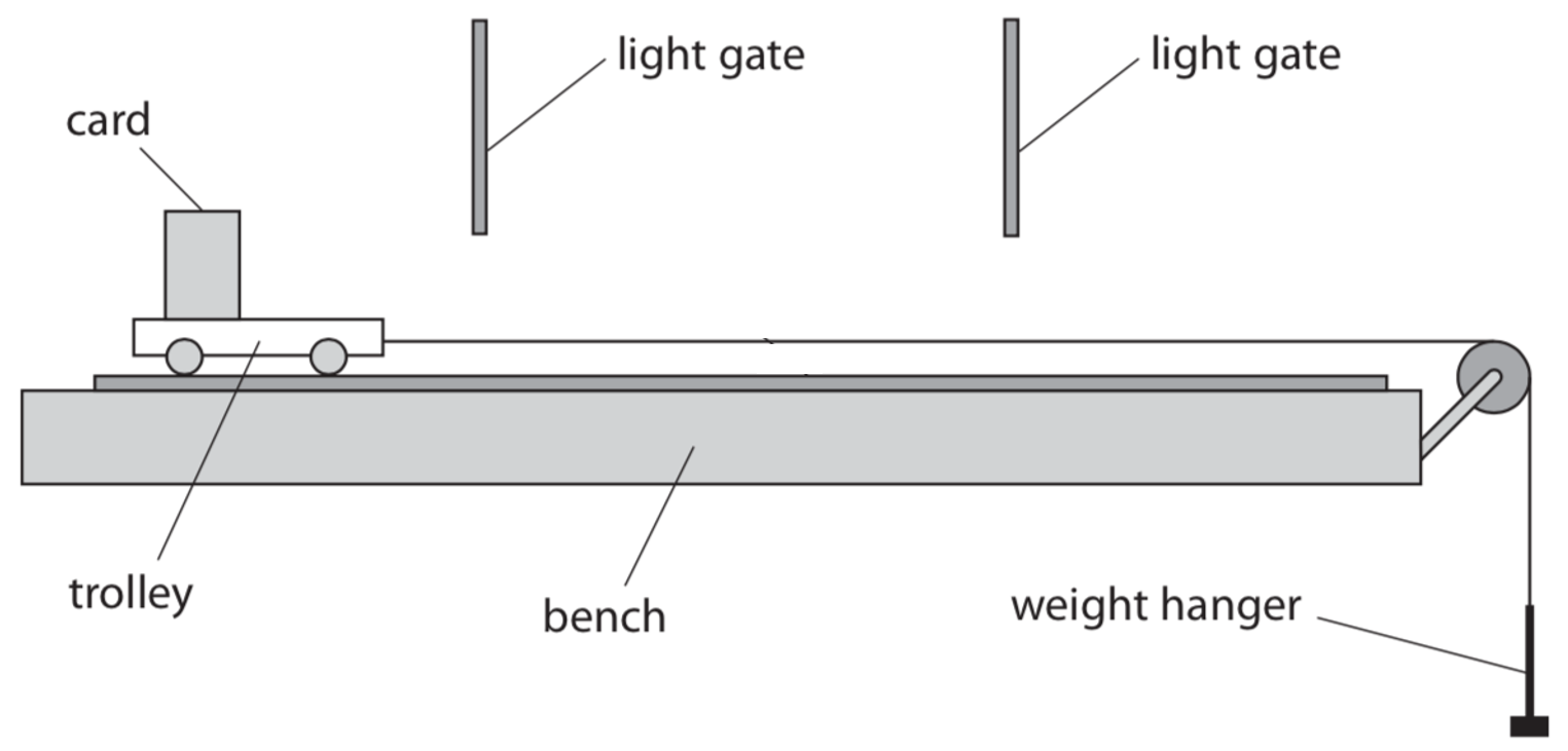 <p>what does this experiment do </p>