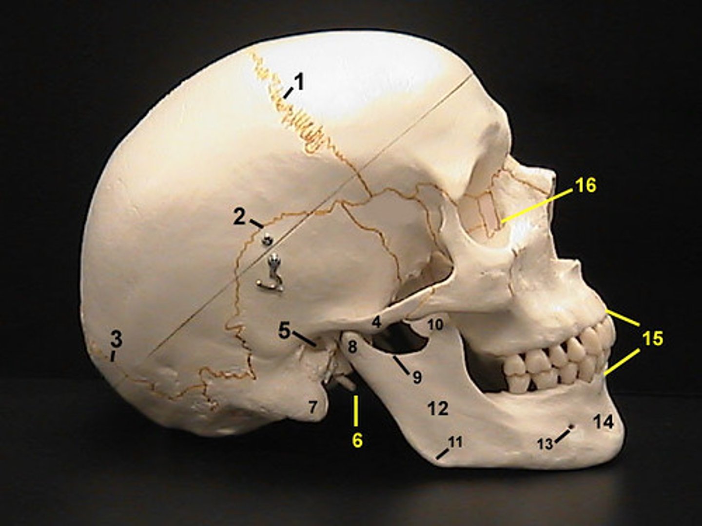 <p>2</p>