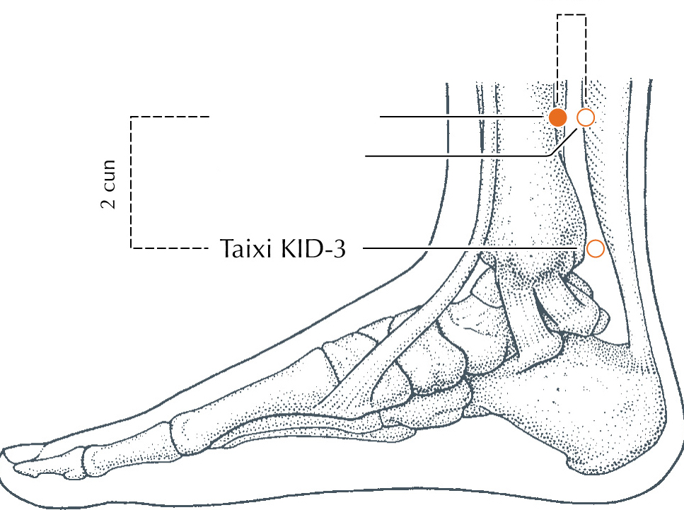 <p>KD-8</p>