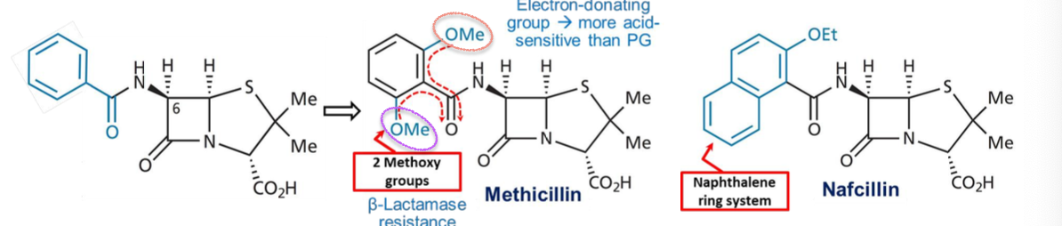 <p>2 ortho-methoxy groups </p>