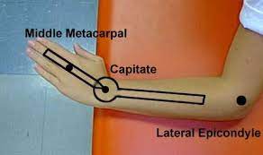 <p>Axis: Capitate</p><p>Proximal Arm: Bisect forearm</p><p>Moving Arm: 3rd metacarpal</p><p>ROM: 15-20 degrees</p><p>End-Feel: Firm</p>