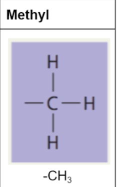<p>only functional group that is non-polar</p>