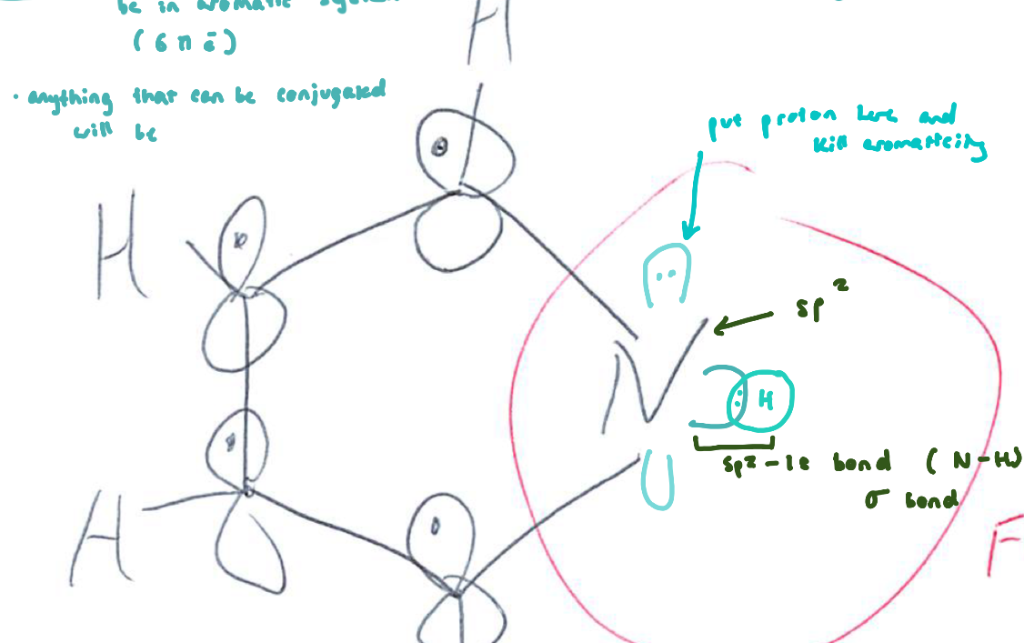 <ul><li><p>Atoms in ring: 4 carbons + 1 nitrogen</p></li><li><p>N hybridization: sp²</p></li><li><p>Aromatic? Yes (6 π electrons)</p></li><li><p>Lone pair: p orbital, part of aromatic sextet</p><ul><li><p>p-orbitals are higher energy than s-orbitals (by promoting to p-orbitals → get conjugation)</p></li></ul></li><li><p>Basicity: Very weak base</p></li><li><p>Key idea: Protonation destroys aromaticity → strongly disfavored</p></li></ul><p></p>