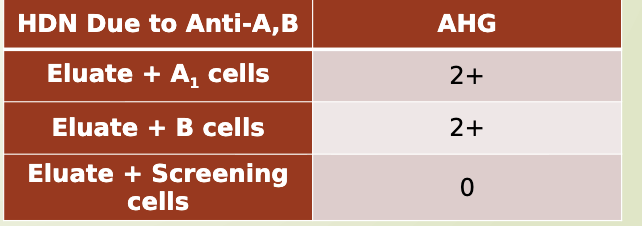 <ul><li><p>ABO HDN</p><ul><li><p>can occur in any pregnancy&nbsp;</p></li><li><p>most commonly seen in O mother and AB or B newborn</p></li><li><p>DAT is weak</p><ul><li><p>anti A or anti B or anti A,B can be eluated&nbsp;</p></li></ul></li></ul></li></ul><p></p>