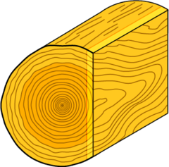 cut of wood cut flat the long way