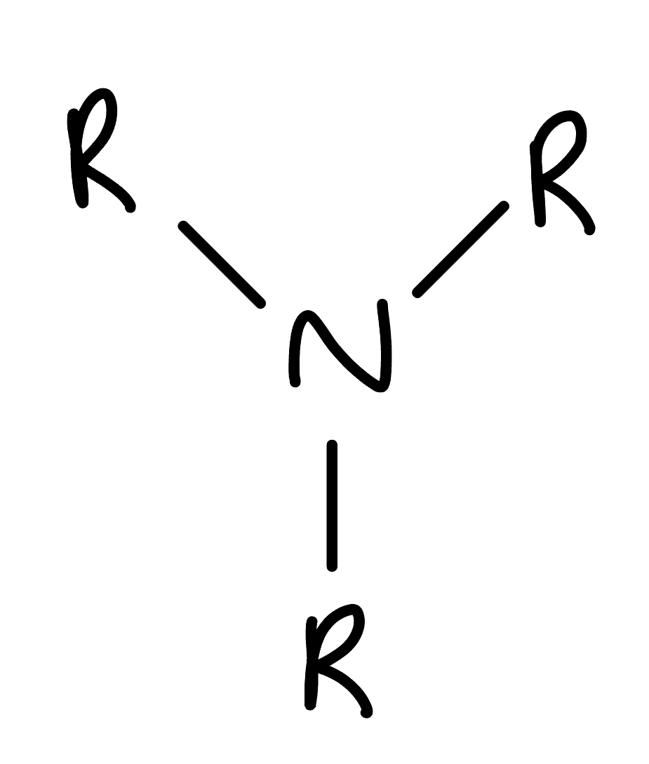 <p>N attached to r or H groups</p>