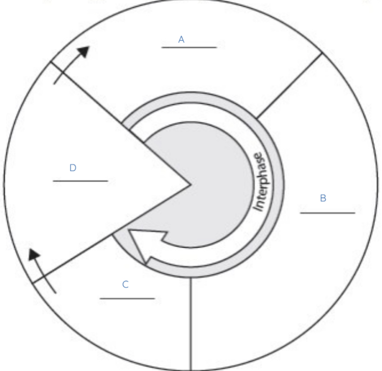 <p>What does B represent?</p>