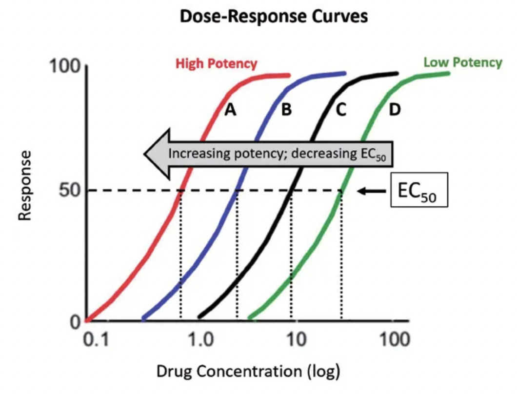 <p><strong>Most potent</strong> = Lowest EC50 → Left shift on x-axis</p><ul><li><p>Drug X = Most potent</p></li><li><p>Drug Z = Least potent (highest EC50)</p></li></ul><p><strong>Most efficacious </strong>= Highest Emax → Drug exerts more response AFTER binding</p><ul><li><p>Drug X and Y = Highest efficacy (highest Emax)</p></li><li><p>Drug Z = Lowest efficacy (lowest Emax)</p></li></ul><p></p>