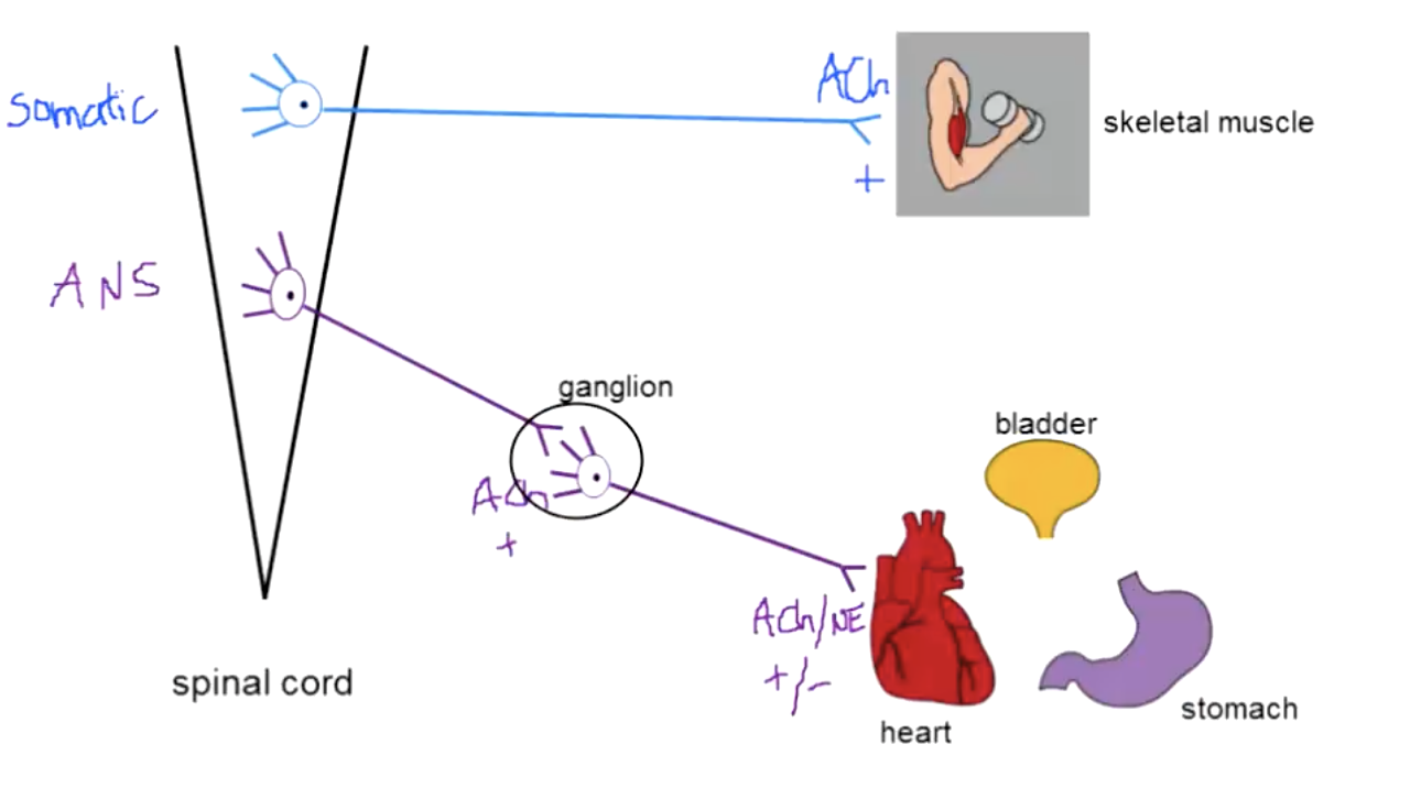 See diagram below
