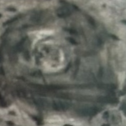 <ul><li><p>Found in bone</p></li><li><p>﻿﻿Reside in spaces called lacunae</p></li></ul>