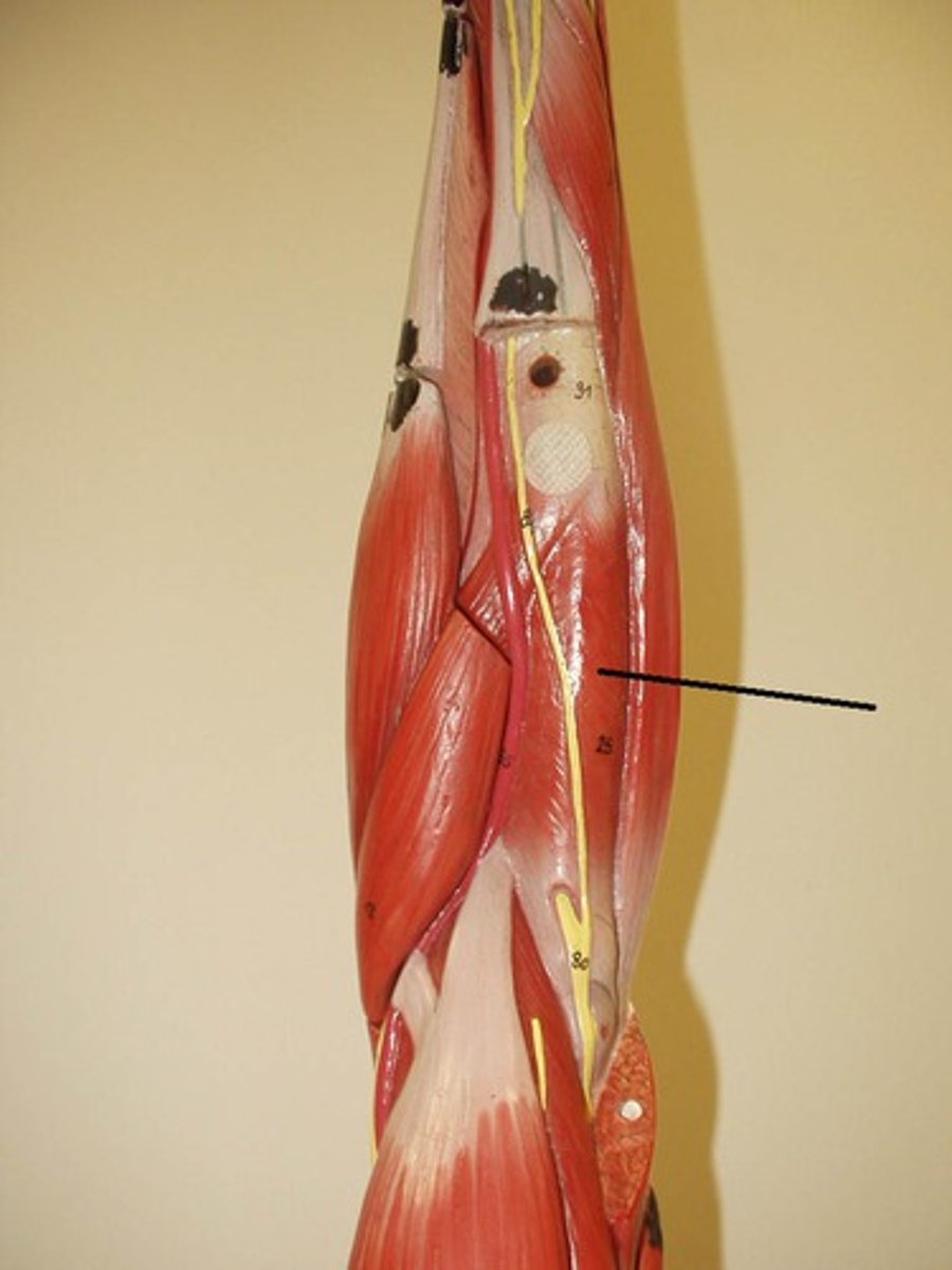 <p>What is indicated?</p>
