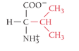 <p>What is the name of the amino acid?</p>