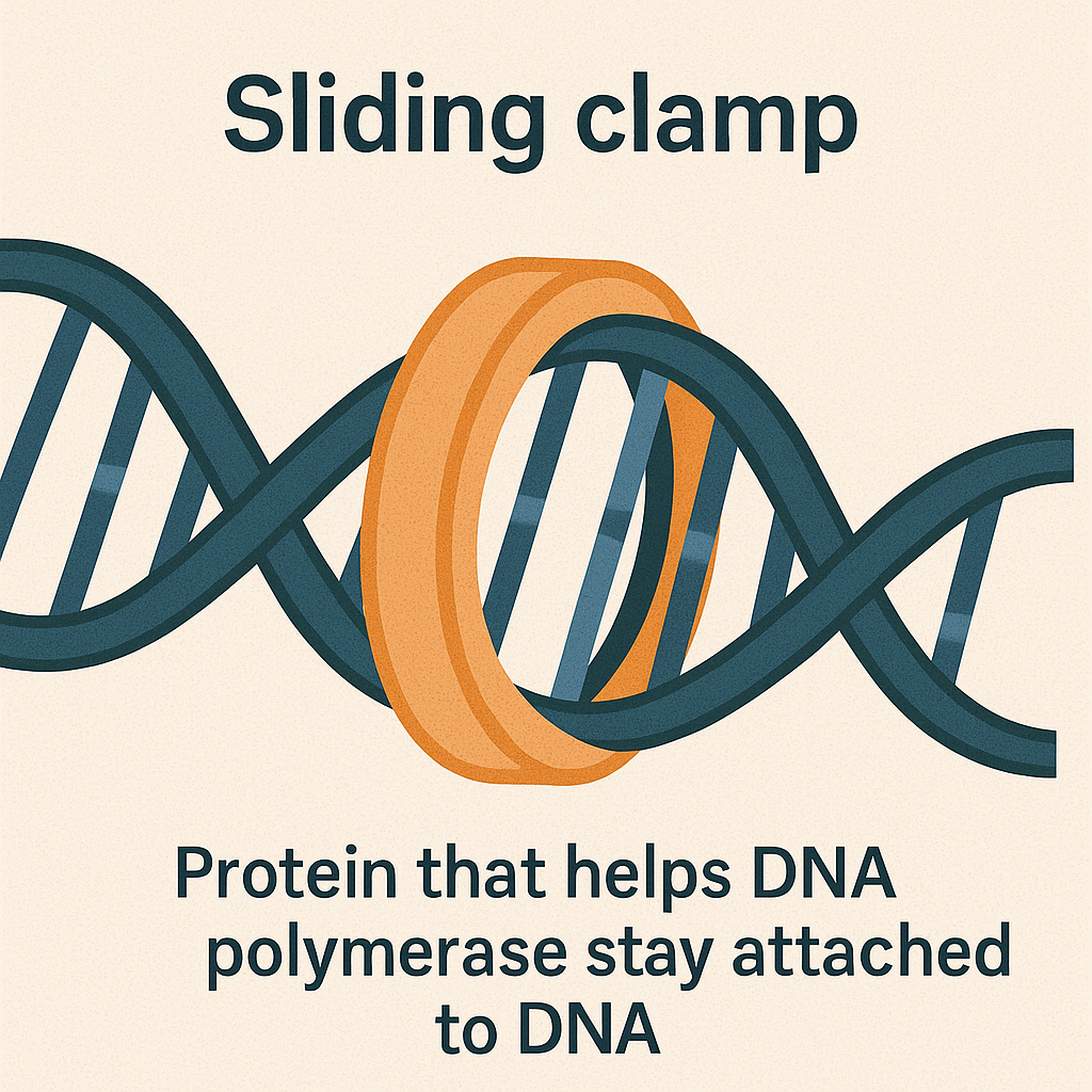 <p>Sliding clamp</p>