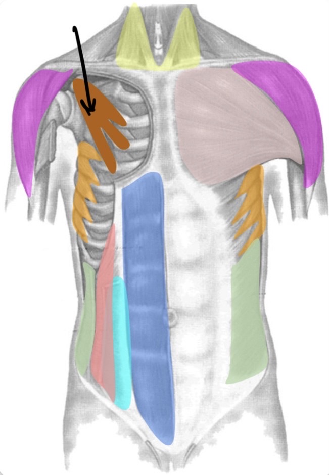 term image