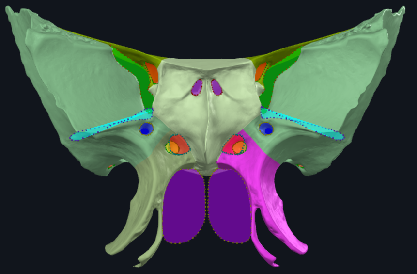 term image
