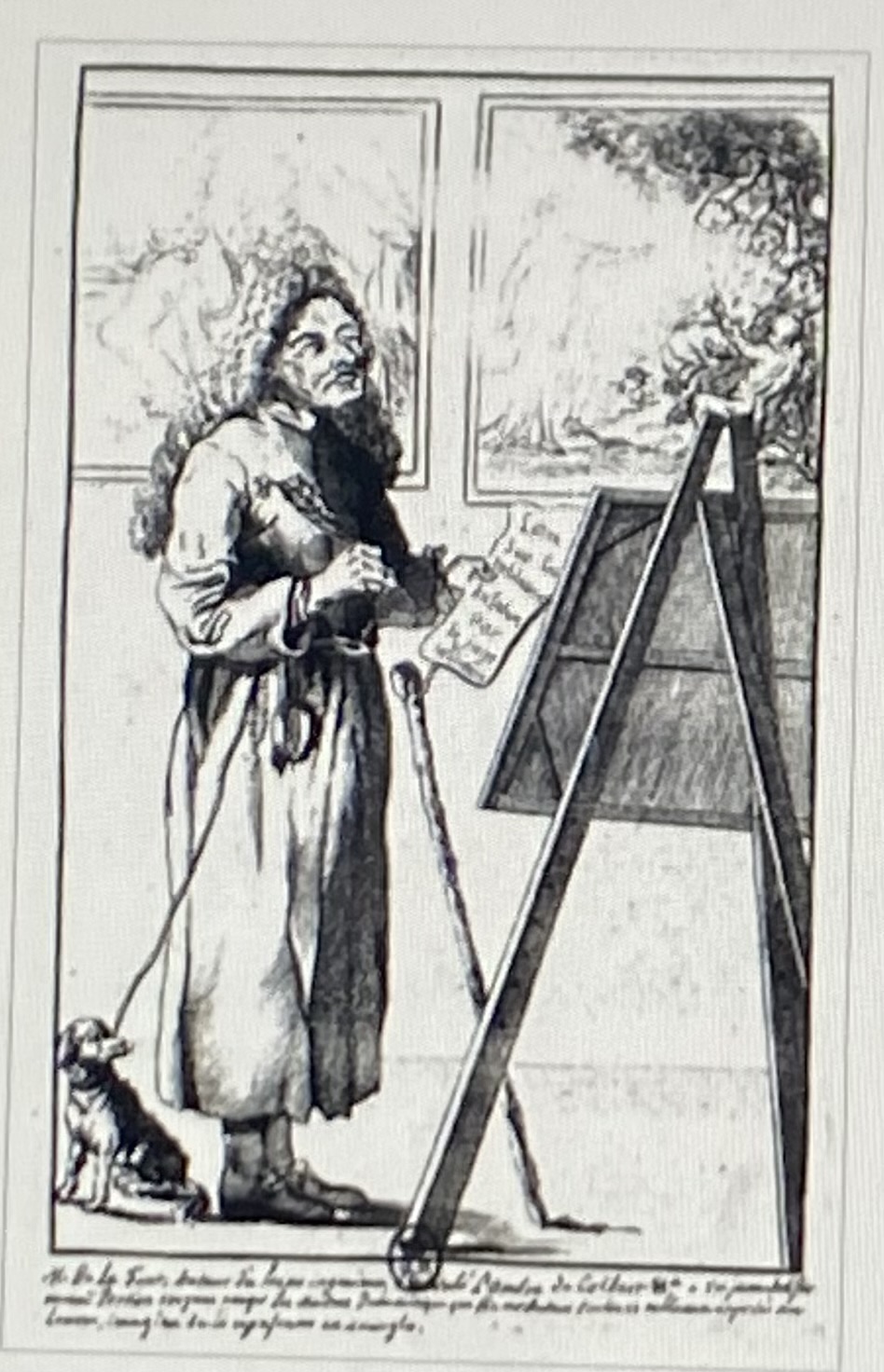 term image