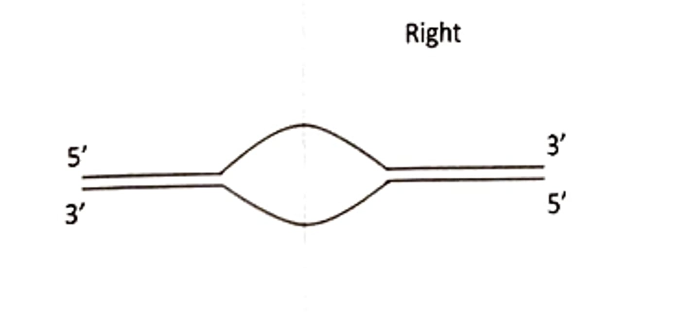 <p>Both</p>