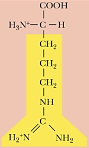 <p>Name (Abbr.) - polarity, a/n/b</p>