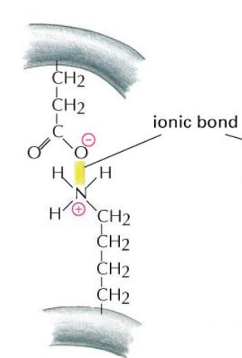 <p>A chemical bond resulting from the attraction between oppositely charged ions.</p>