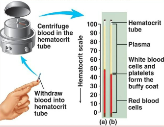 <p>Centrifuge</p>