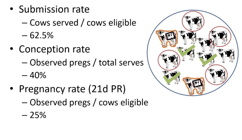 <p>I mean look at this example. Only 3/12 got pregnant but submission rate and conception rate are much higher values and are misleading when only 25% of ur eligible cows actually got pregnant</p>