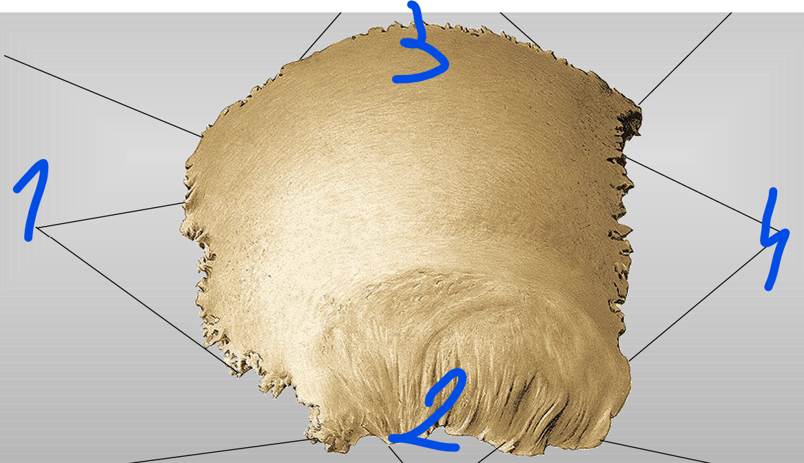 <p>4</p>